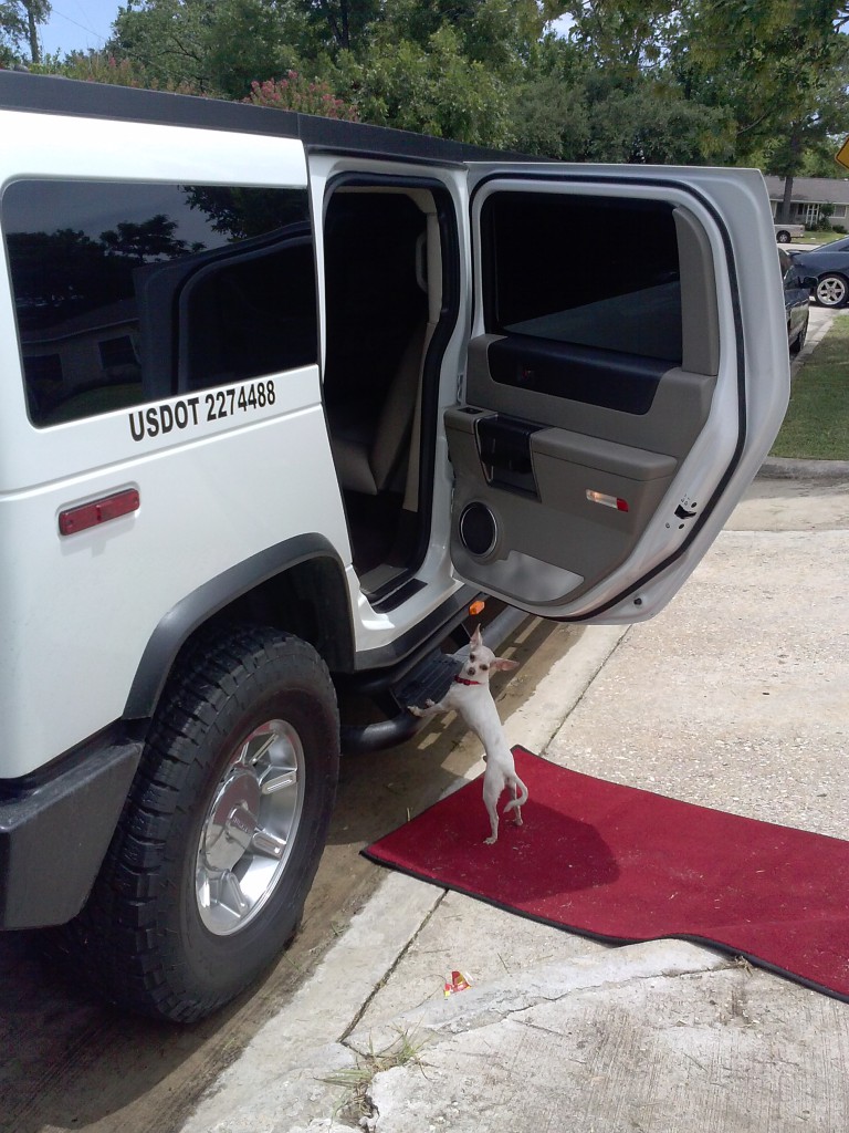 Limo Houston, Prom, Wedding, Events Limousines